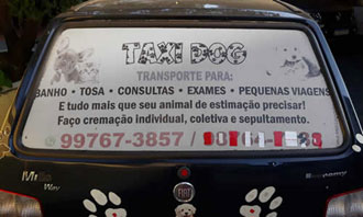 Pet Delivery Rio - rações, acessórios e medicamentos para animais de estimação.