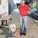 Love Dogs Adestramento Rio