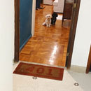 Love Dogs Adestramento Rio