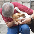 Love Dogs Adestramento Rio