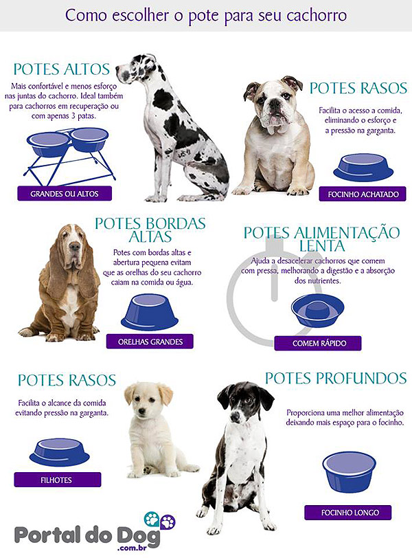 Como Escolher o Pote Para o Seu Cachorro