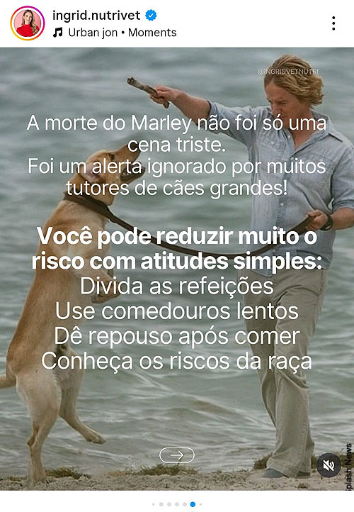 Os riscos da Torção Gástrica em cães.