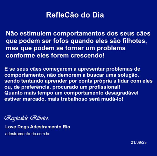 RefleCão do Dia