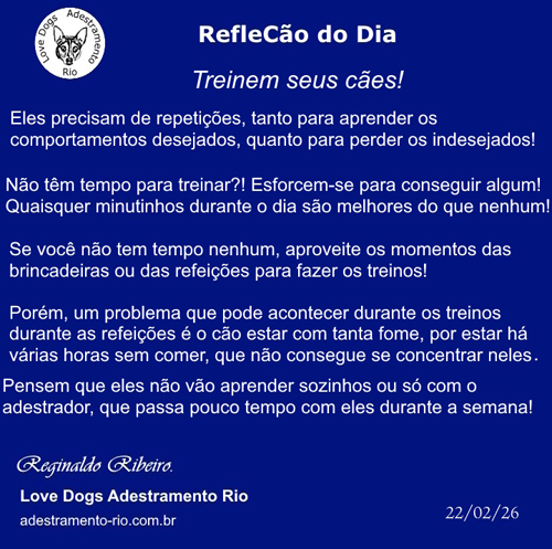 RefleCão do Dia
