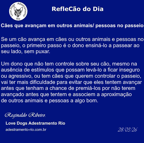 RefleCão do Dia